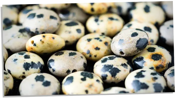 Dalmatian jasper meaning