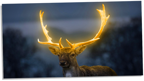 Deer with a golden aura