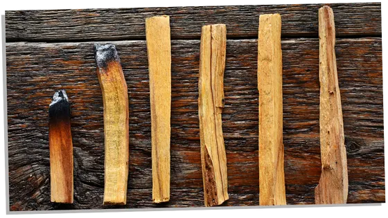 Different types of Palo Santo you can buy