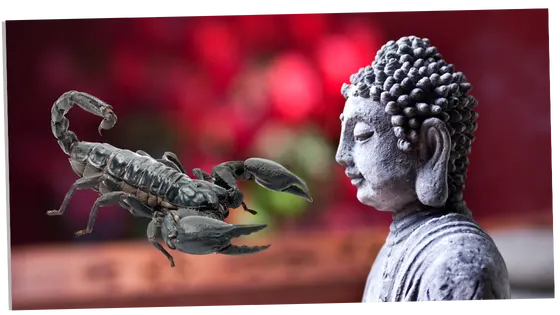 The meaning of Scorpions in Buddhism