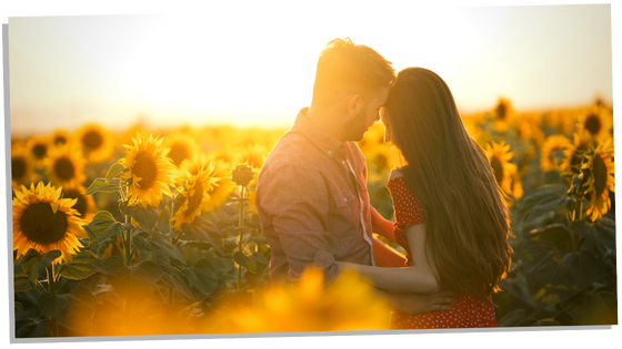 Couple hugging on a sunflower field