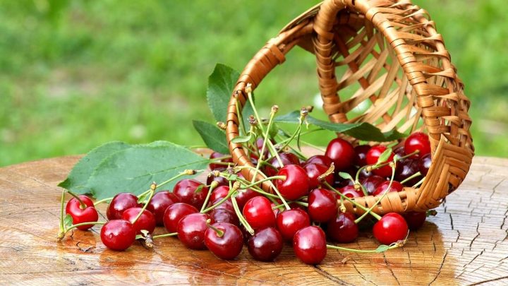 The Mysterious Symbolism of Cherries – An Interesting Guide