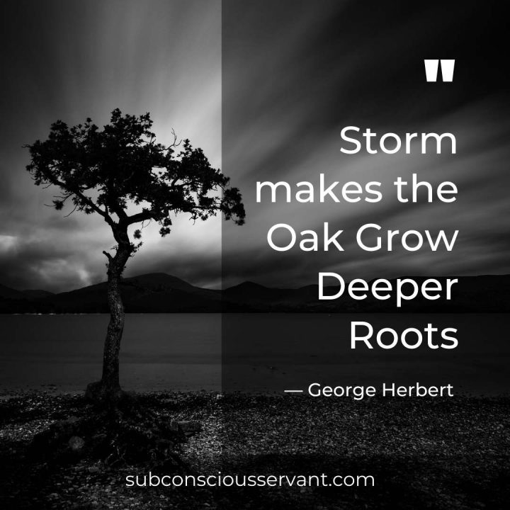 George Herbert quote