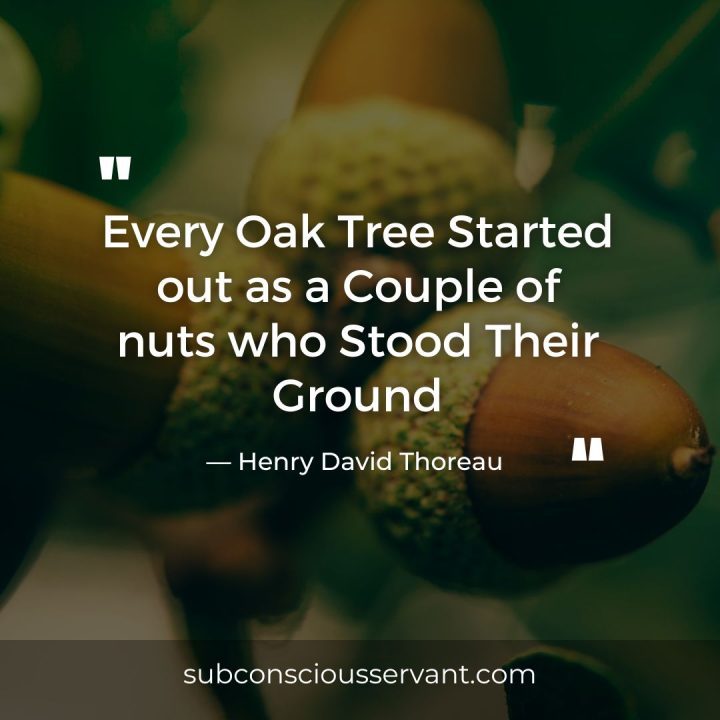 Oak tree quote