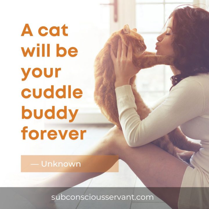 Image with cuddles with Animals quote