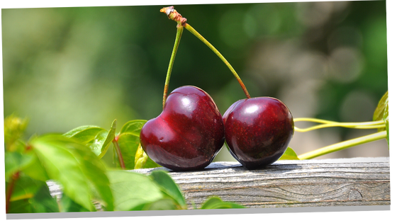 Double cherry symbolism