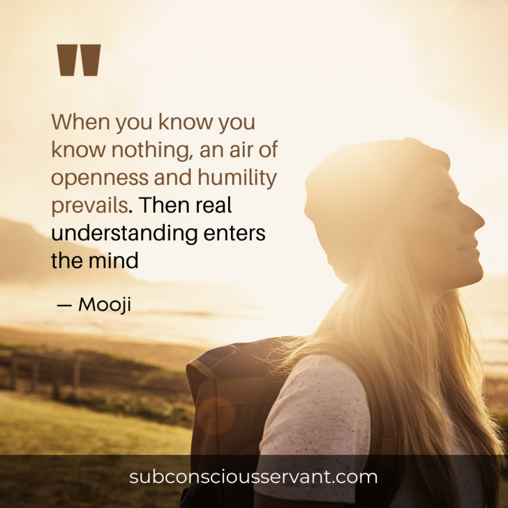 When you know you know nothing, an air of openness and humility prevails. Then real understanding enters the mind - Mooji