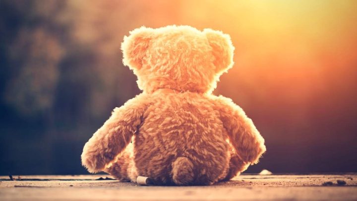 85+ Teddy Bear Quotes That Will Warm your Heart