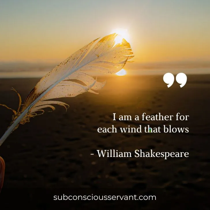 Image of short feather quote