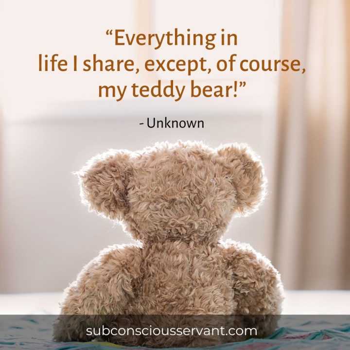 Image of Funny Teddy Bear Quote