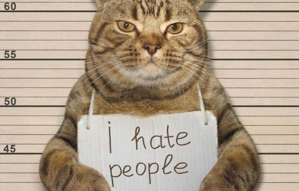 Cat with a I hate people sign